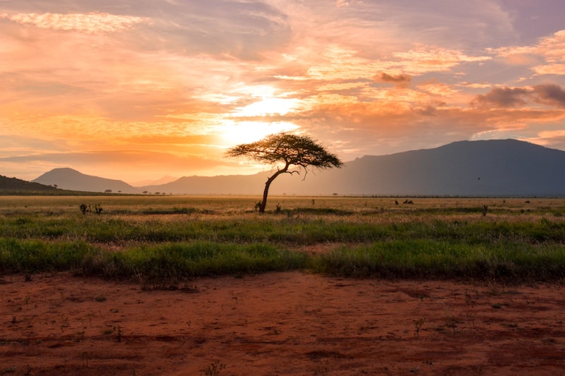 Serengeti